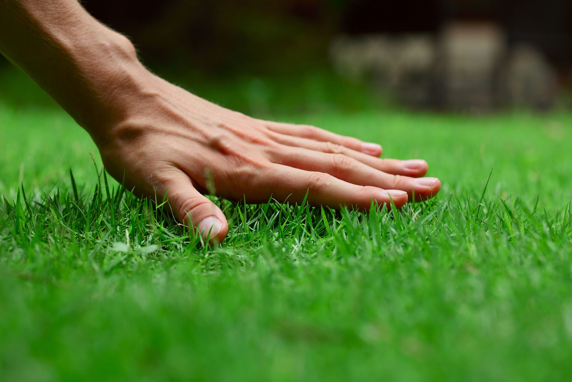 Lawn care Maryland